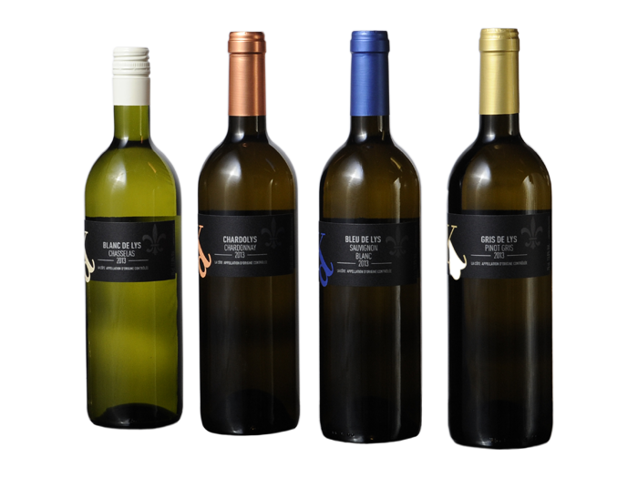 famille blanc